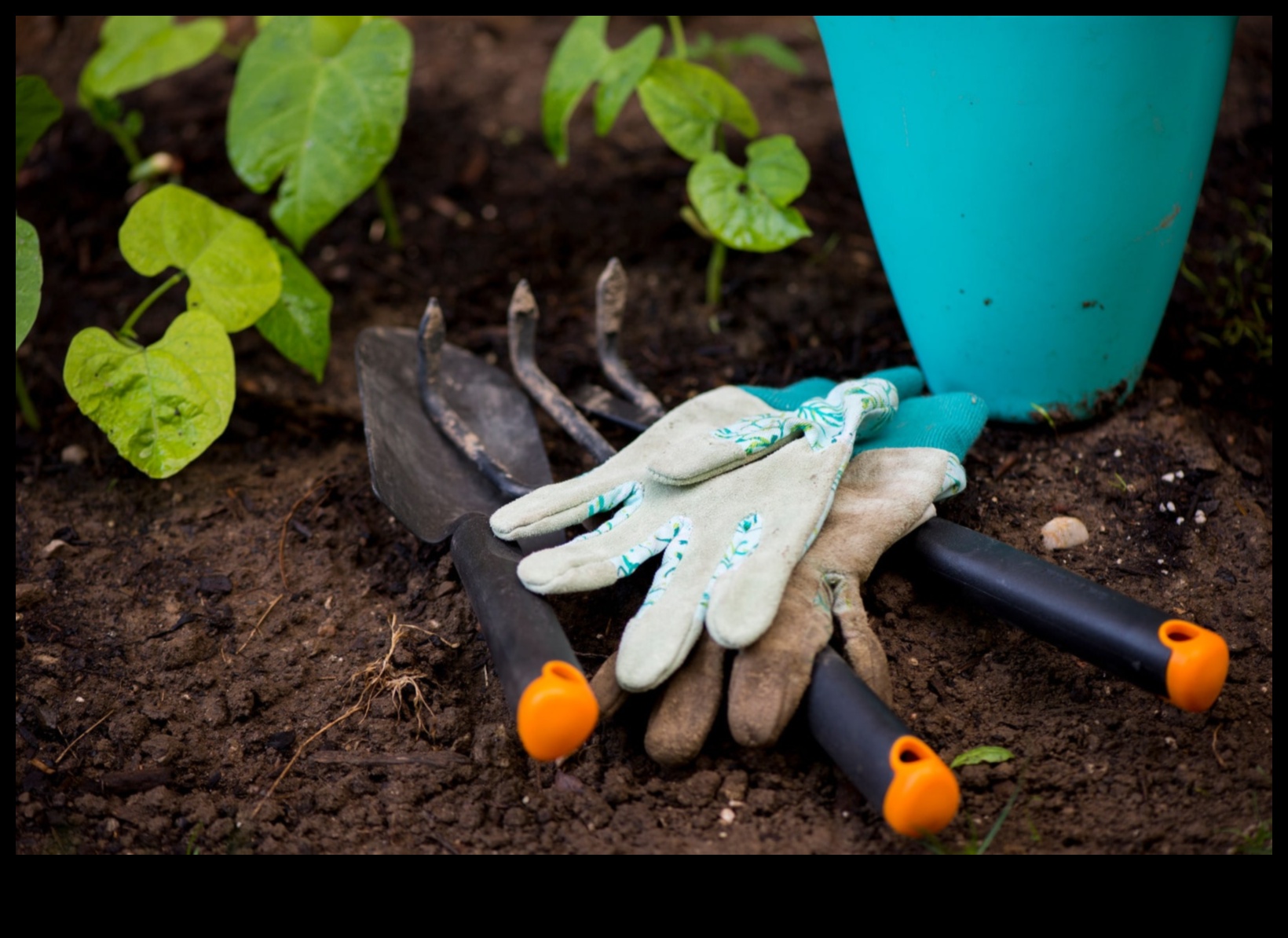 Green Thumb Magic: Uneltele de grădină indispensabile dezvăluite