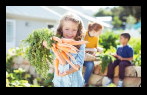 Recolta de fericire: pași esențiali pentru succesul în grădină