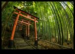 Brize de bambus Secretul grădinăritului japonez