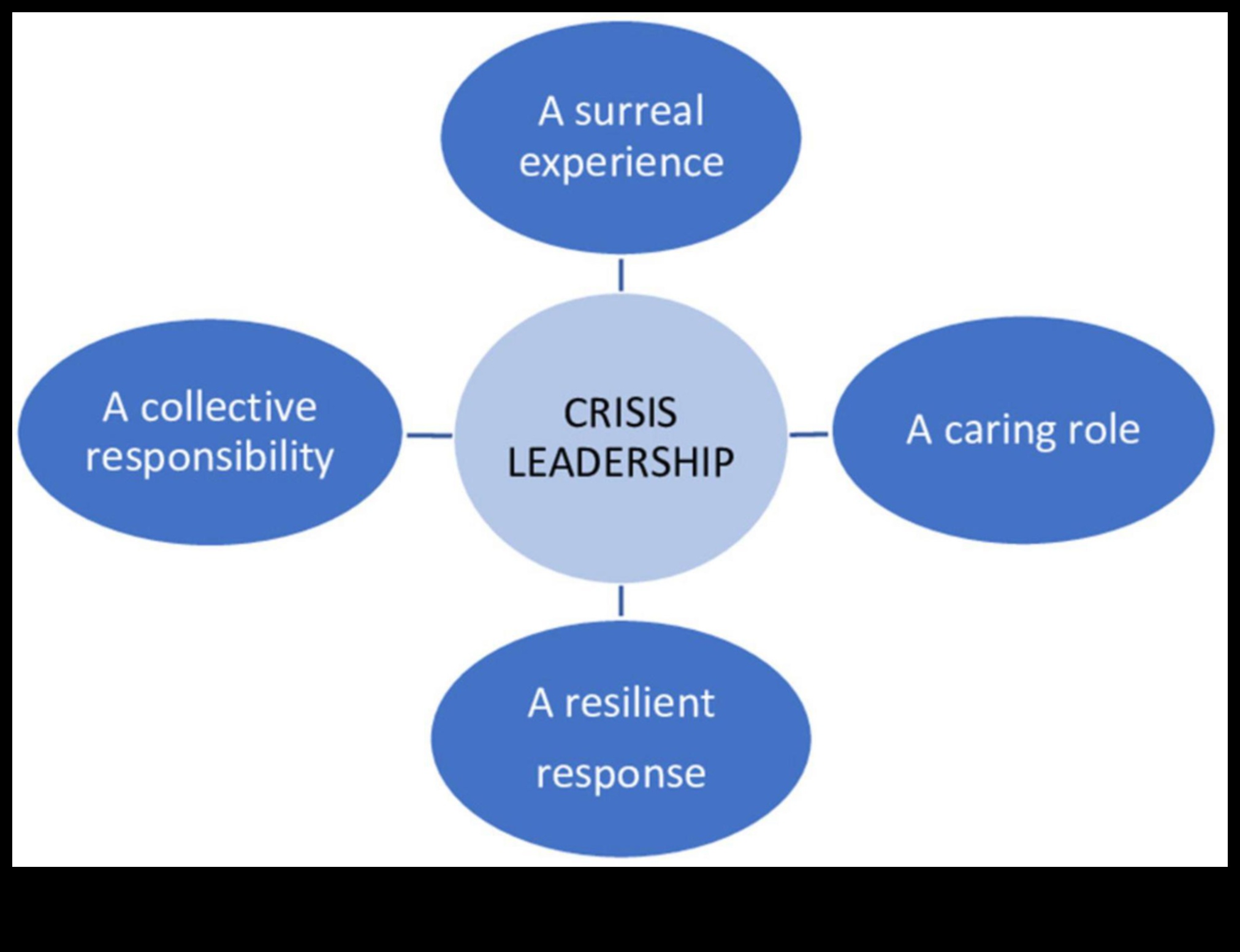 Înțelepții în afaceri: perspective de la liderii care au navigat în călătoria leadershipului